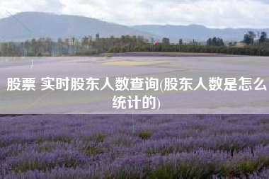 股票 实时股东人数查询(股东人数是怎么统计的)