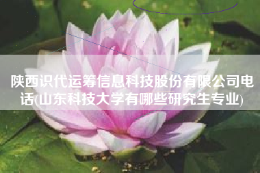 陕西识代运筹信息科技股份有限公司电话(山东科技大学有哪些研究生专业)
