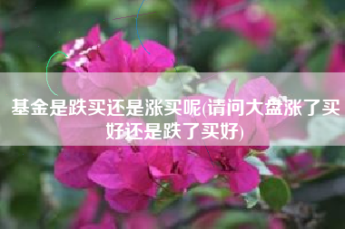 基金是跌买还是涨买呢(请问大盘涨了买好还是跌了买好)