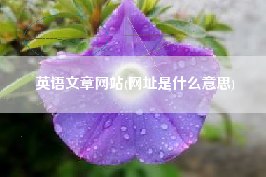 英语文章网站(网址是什么意思)
