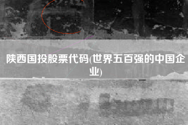 陕西国投股票代码(世界五百强的中国企业)