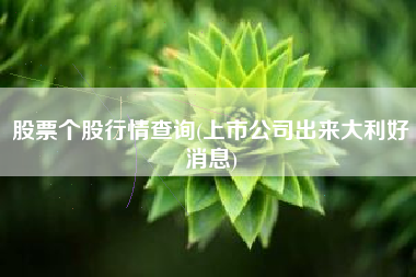 股票个股行情查询(上市公司出来大利好消息)
