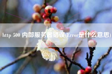 http 500 内部服务器错误(Error是什么意思)