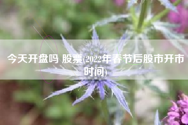 今天开盘吗 股票(2022年春节后股市开市时间)