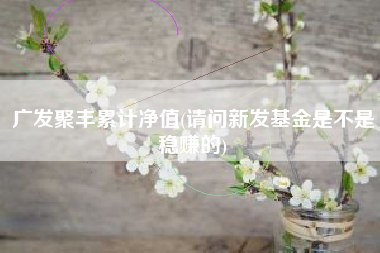 广发聚丰累计净值(请问新发基金是不是稳赚的)