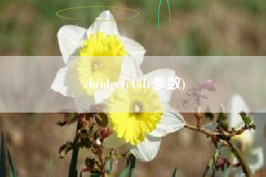 cbridge(y481c参数)
