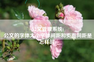 公文管理系统(
公文的字体大小字体间距和页面间距是怎样的) 公文管理系统(
公文的字体大小字体间距和页面间距是怎样的)