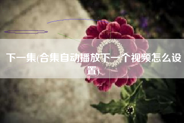 详细阅读:下一集(合集自动播放下一个视频怎么设置) 下一集(合集自动播放下一个视频怎么设置)