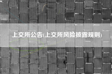 上交所公告(上交所风险披露规则)