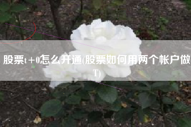 股票t+0怎么开通(股票如何用两个帐户做T)