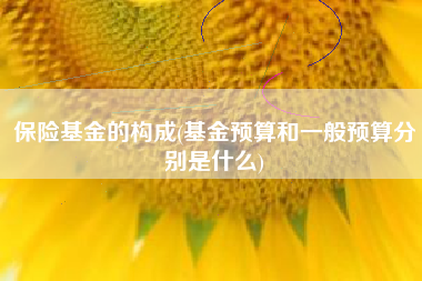 保险基金的构成(基金预算和一般预算分别是什么)