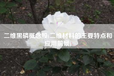 二维黑磷概念股(二维材料的主要特点和应用前景)