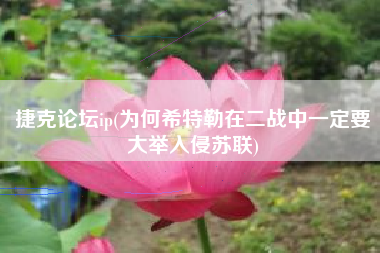 捷克论坛ip(为何希特勒在二战中一定要大举入侵苏联)