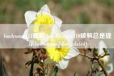 loadrunner11破解(LoadRunner110破解总是提示licenseshouldbeupdated)