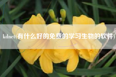 kdnet(有什么好的免费的学习生物的软件)