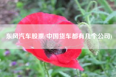 东风汽车股票(中国货车都有几个公司)