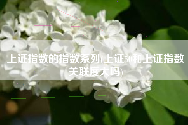 上证指数的指数系列(上证50和上证指数关联度大吗)