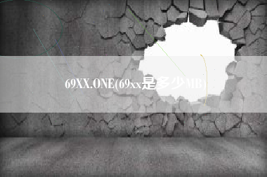 69XX.ONE(69xx是多少MB)