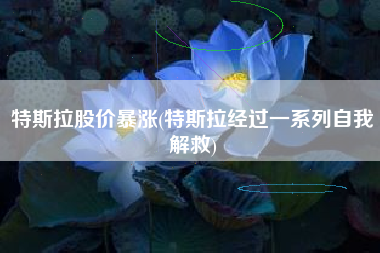 特斯拉股价暴涨(特斯拉经过一系列自我解救)