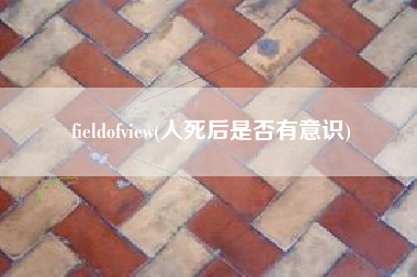 fieldofview(人死后是否有意识)