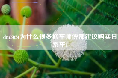 dm365(为什么很多修车师傅都建议购买日系车)