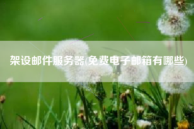 架设邮件服务器(免费电子邮箱有哪些)