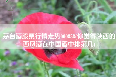 茅台酒股票行情走势000858(你觉得陕西的西凤酒在中国酒中排第几)
