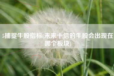 5捕捉牛股指标(未来十倍的牛股会出现在哪个板块)
