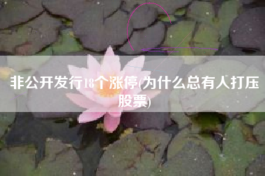非公开发行18个涨停(为什么总有人打压股票)