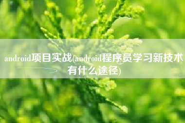 android项目实战(android程序员学习新技术有什么途径)