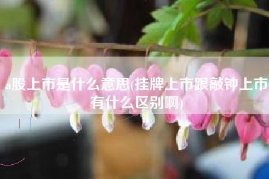 a股上市是什么意思(挂牌上市跟敲钟上市有什么区别啊)
