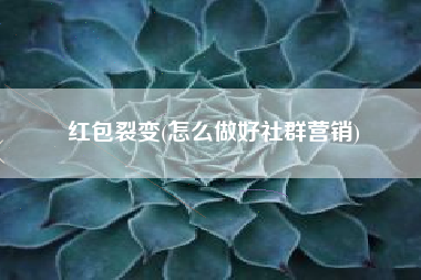 红包裂变(怎么做好社群营销)