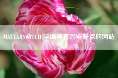 MATLABSWITCH(学编程有哪些好点的网站)