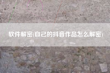 软件解密(自己的抖音作品怎么解密)