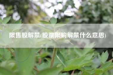 限售股解禁(股票限购解禁什么意思)