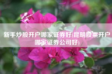 新手炒股开户哪家证券好(昆明股票开户哪家证券公司好)