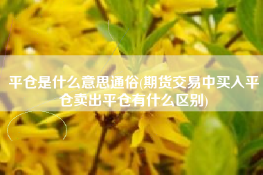 平仓是什么意思通俗(期货交易中买入平仓卖出平仓有什么区别)