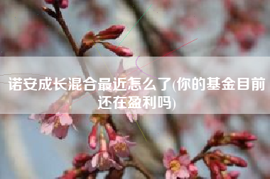 诺安成长混合最近怎么了(你的基金目前还在盈利吗)