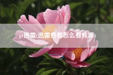 gv迅雷(迅雷看看怎么看片源)