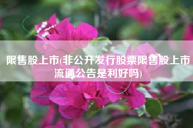限售股上市(非公开发行股票限售股上市流通公告是利好吗)