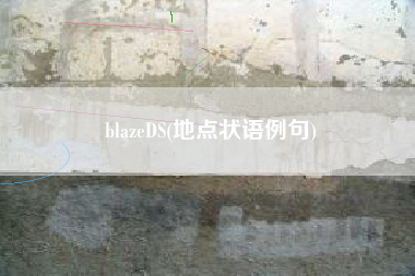 blazeDS(地点状语例句)