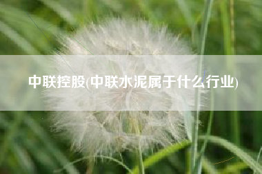 中联控股(中联水泥属于什么行业)