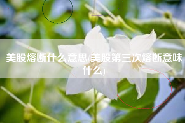 美股熔断什么意思(美股第三次熔断意味什么)
