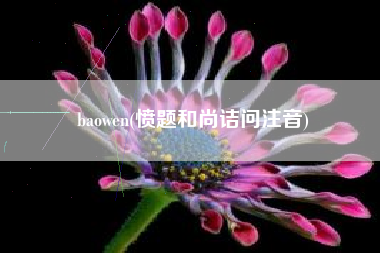 baowen(愤题和尚诘问注音)