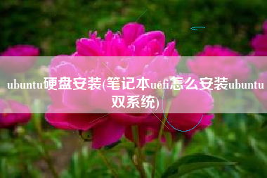 ubuntu硬盘安装(笔记本uefi怎么安装ubuntu双系统)