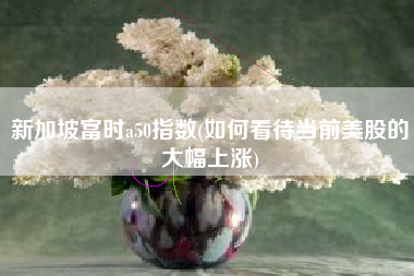 新加坡富时a50指数(如何看待当前美股的大幅上涨)