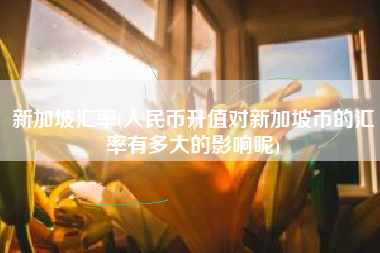 新加坡汇率(人民币升值对新加坡币的汇率有多大的影响呢)