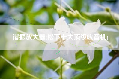 谐振放大器(松下十大顶级收音机)