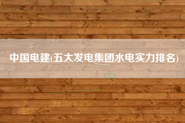 中国电建(五大发电集团水电实力排名)