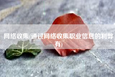 网络收集(通过网络收集职业信息的利弊有)